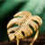 18k Gold Leaf Ring - Froppin