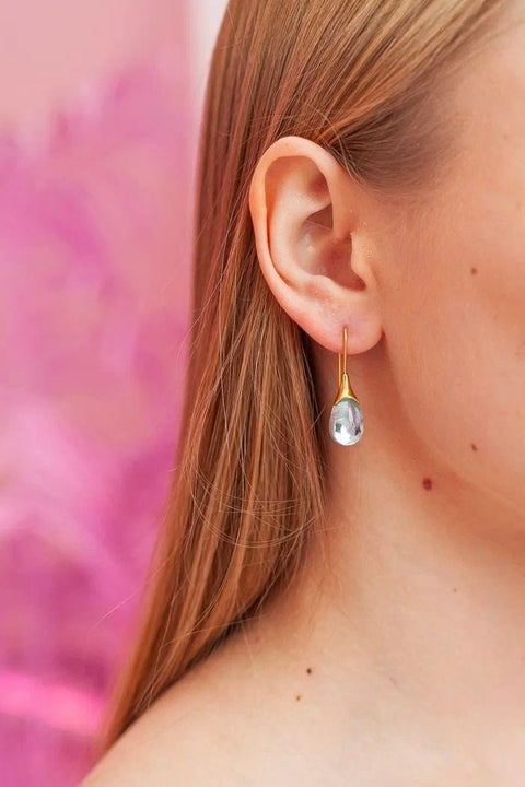 Blue Water Crystal Drop Hook Earrings - Froppin