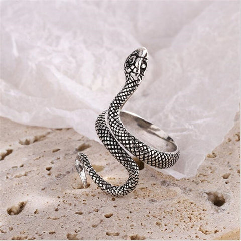 Charmer Snake Ring, Slithering Serpent Ring, Zodiac Jewelry Animal Ring Adjustable Band Spiral Jewelry, Pet Snake Ring Unusual Jewelry Gift - Froppin