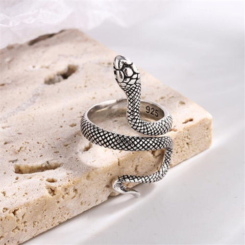 Charmer Snake Ring, Slithering Serpent Ring, Zodiac Jewelry Animal Ring Adjustable Band Spiral Jewelry, Pet Snake Ring Unusual Jewelry Gift - Froppin