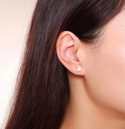 Middle Finger Stud Earrings Stainless Still Earrings - Froppin