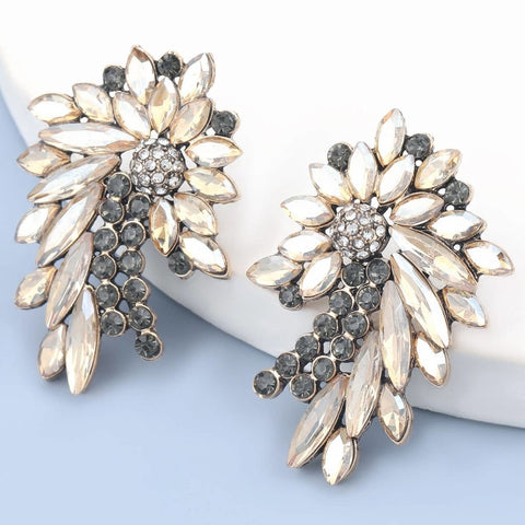 Rainbow Crystal Earrings - Froppin