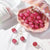 Terrarium Pink Flower Cherry Earrings - Froppin